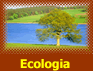 Pranchas de Ecologia